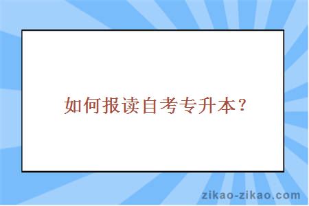 如何报读自考专升本？