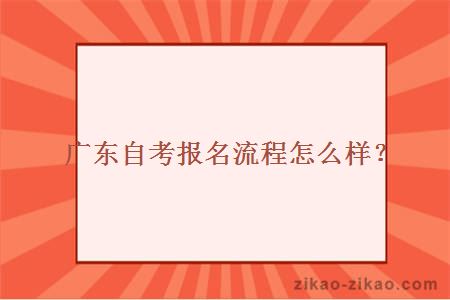 广东自考报名流程怎么样？