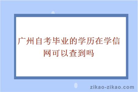 广州自考毕业的学历在学信网可以查到吗