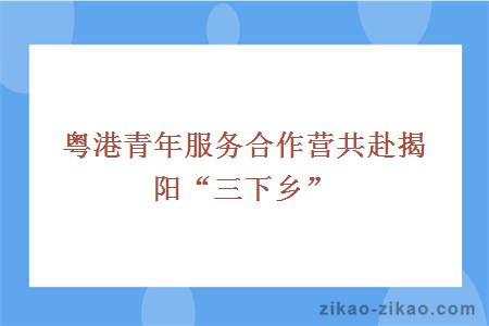 粤港青年服务合作营共赴揭阳“三下乡”