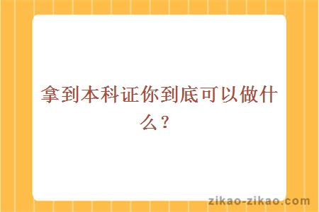 拿到本科证你到底可以做什么？