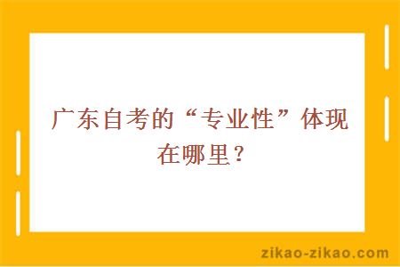 广东自考网的“专业性”体现在哪里？