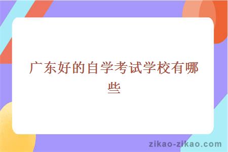 广东好的自学考试学校有哪些