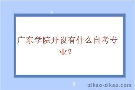 广东学院开设有什么自考专业？