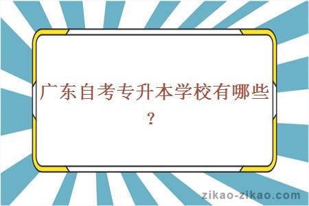 广东自考专升本学校有哪些？