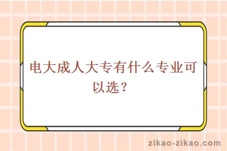 电大成人大专有什么专业可以选？