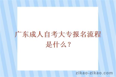 广东成人自考大专报名流程是什么？