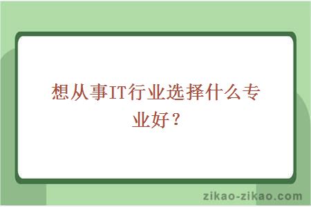 想从事IT行业选择什么专业好？