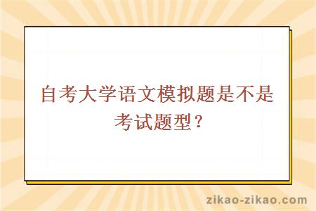 自考大学语文模拟题是不是考试题型？