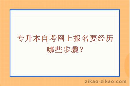 专升本自考网上报名要经历哪些步骤？