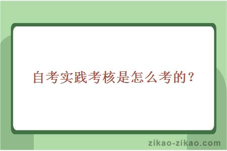 自考实践考核是怎么考的？