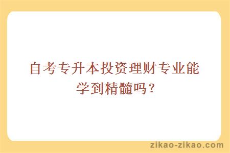 自考专升本投资理财专业能学到精髓吗？