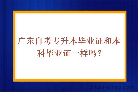 广东自考专升本毕业证和本科毕业证一样吗？