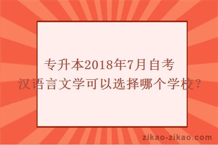 专升本2018年7月自考汉语言文学可以选择哪个学校？