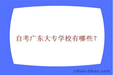 自考广东大专学校有哪些？