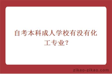 自考本科成人学校有没有化工专业？