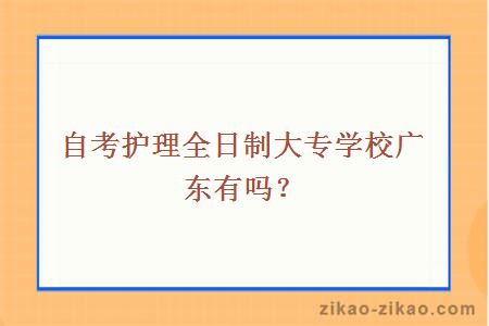 自考护理全日制大专学校广东有吗？