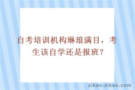 自考培训机构琳琅满目，考生该自学还是报班？