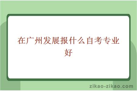 在广州发展报什么自考专业好