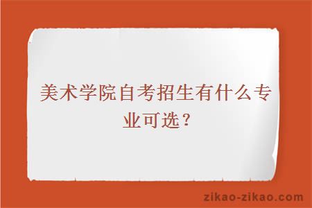 美术学院自考招生有什么专业可选？