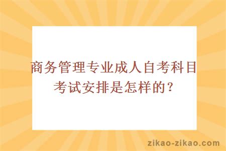 商务管理专业成人自考科目考试安排是怎样的？