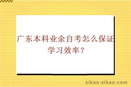 广东本科业余自考怎么保证学习效率？