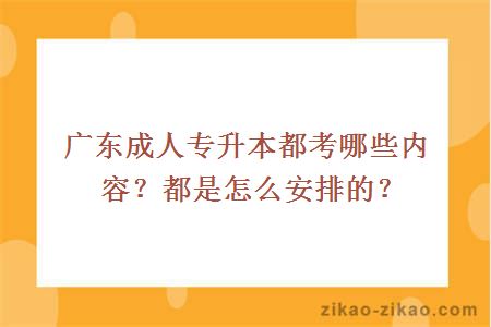 广东成人专升本都考哪些内容？都是怎么安排的？