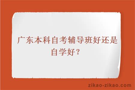 广东本科自考辅导班好还是自学好？