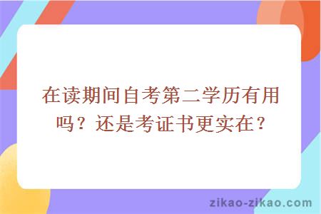 在读期间自考第二学历有用吗？还是考证书更实在？