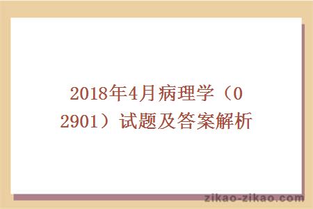 2018年4月病理学（02901）试题及答案解析