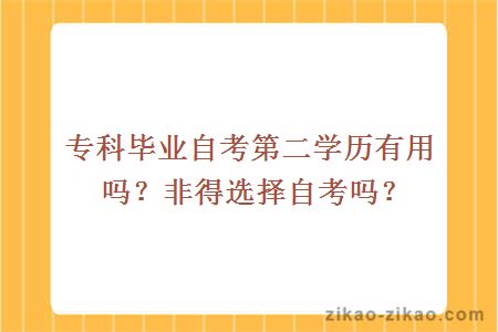 专科毕业自考第二学历有用吗？非得选择自考吗？