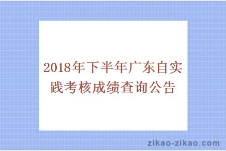 2018年下半年广东自实践考核成绩查询公告