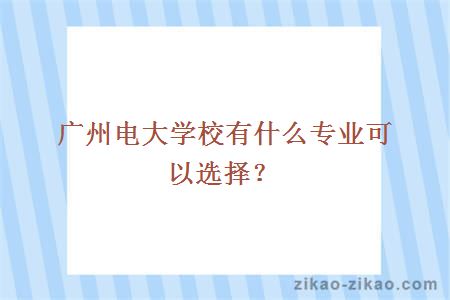 广州电大学校有什么专业可以选择？