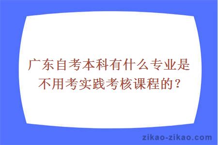 广东自考本科有什么专业是不用考实践考核课程的？