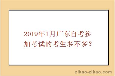 2019年1月广东自考参加考试的考生多不多？