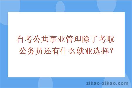 自考公共事业管理除了考取公务员还有什么就业选择？