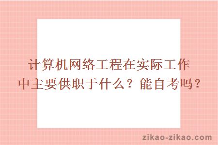 计算机网络工程在实际工作中主要供职于什么？能自考吗？