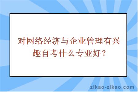 对网络经济与企业管理有兴趣自考什么专业好？