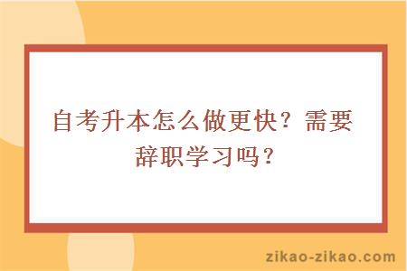 自考升本怎么做更快？需要辞职学习吗？