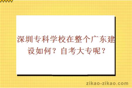 深圳专科学校在整个广东建设如何？自考大专呢？