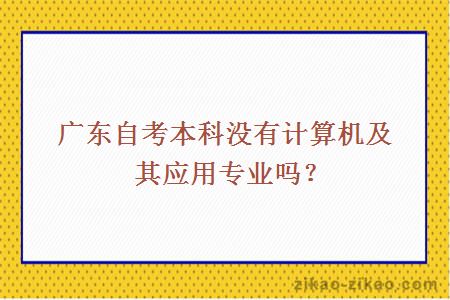 广东自考本科没有计算机及其应用专业吗？