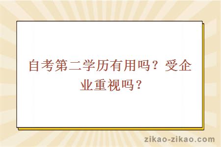 自考第二学历有用吗？受企业重视吗？