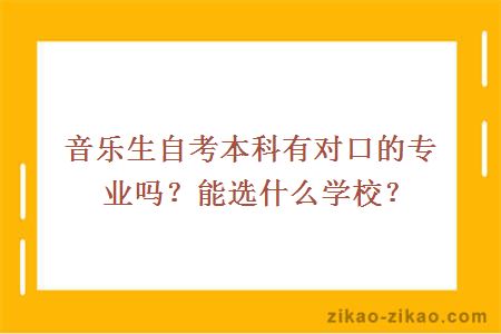 音乐生自考本科有对口的专业吗？能选什么学校？