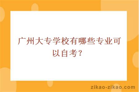 广州大专学校有哪些专业可以自考？