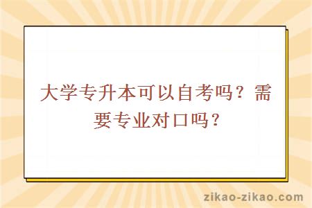 大学专升本可以自考吗？需要专业对口吗？