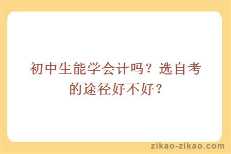 初中生能学会计吗？选自考的途径好不好？