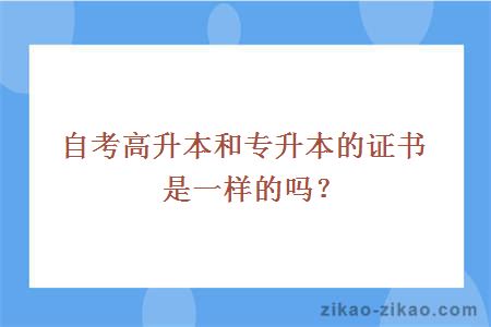 自考高升本和专升本的证书是一样的吗？