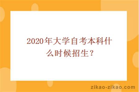 2020年大学自考本科什么时候招生？