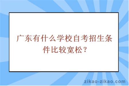 广东有什么学校自考招生条件比较宽松？