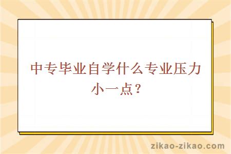 中专毕业自学什么专业压力小一点？